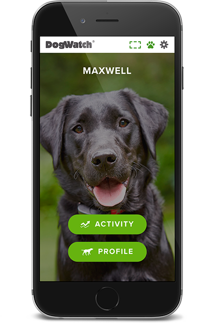 DogWatch of Nashville, Hendersonville, Tennessee | SmartFence WebApp Image