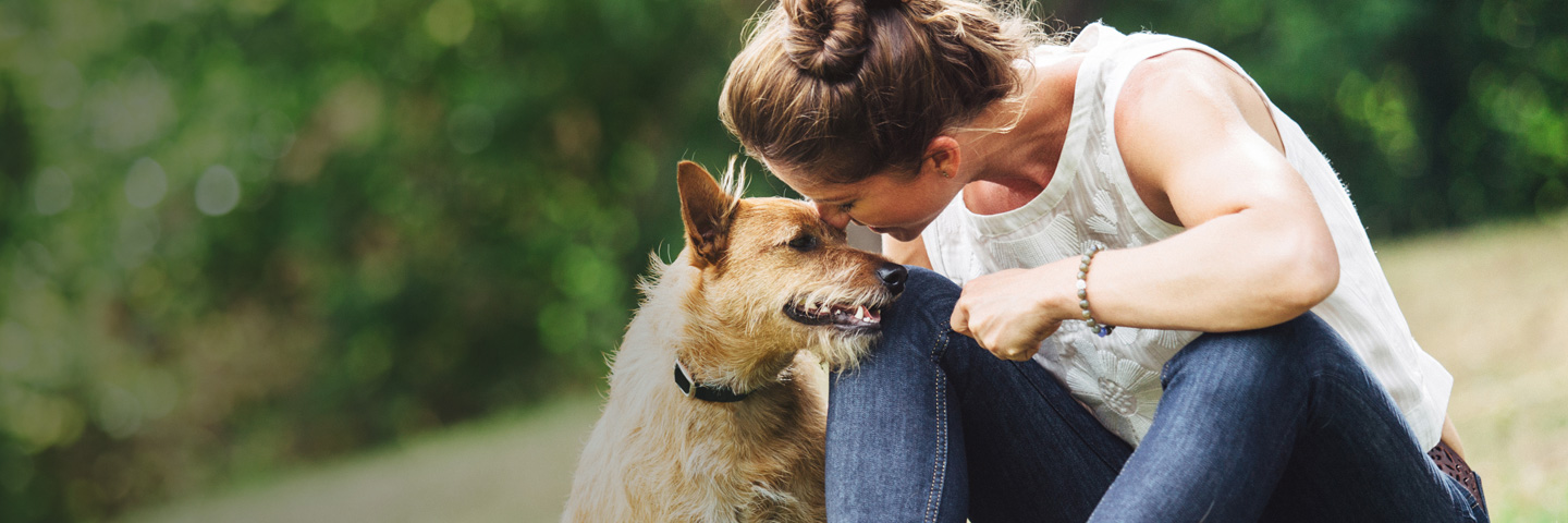 DogWatch of Nashville, Hendersonville, Tennessee | BarkCollar No-Bark Trainer Slider Image